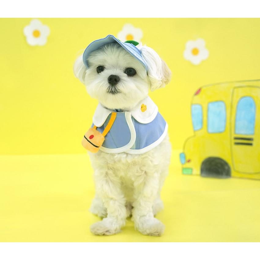 ⑥Parti du Ruban ケープタイプ　ネックアクセサリー　犬用品　写真 kindergarden cape cap set 犬用 帽子 幼稚園 ケープ バンダナ