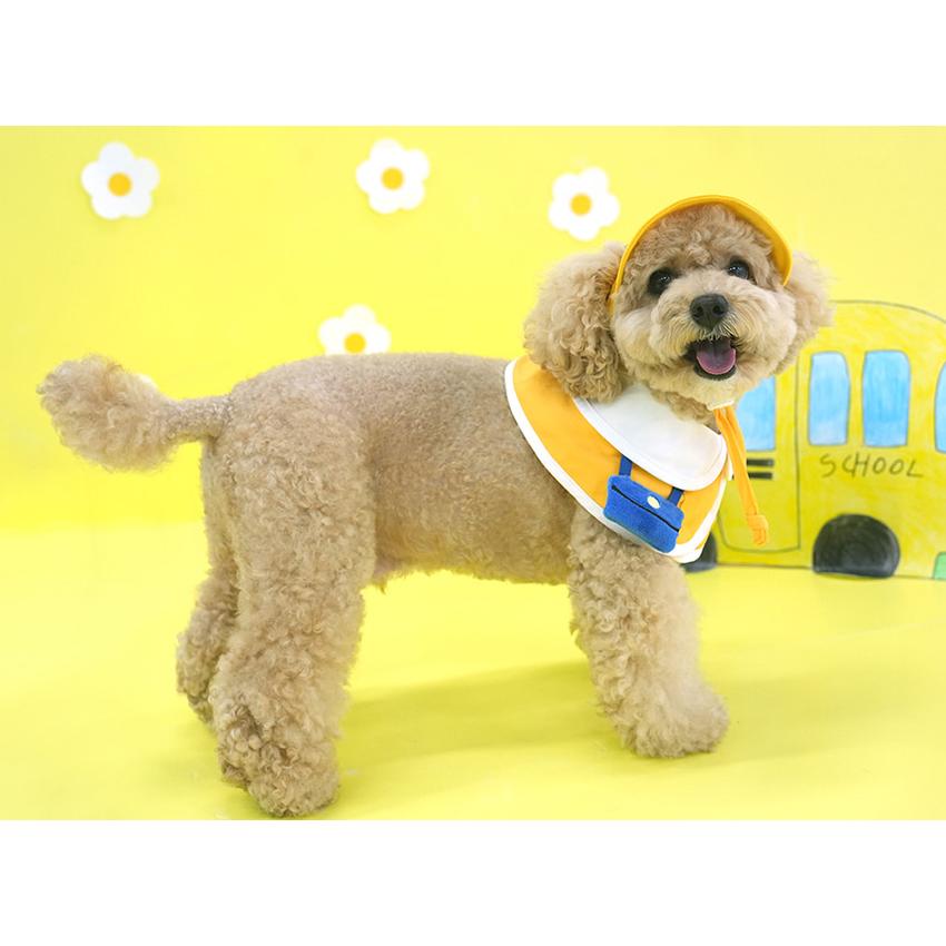 kindergarden cape cap set 犬用 帽子 幼稚園 ケープ バンダナ