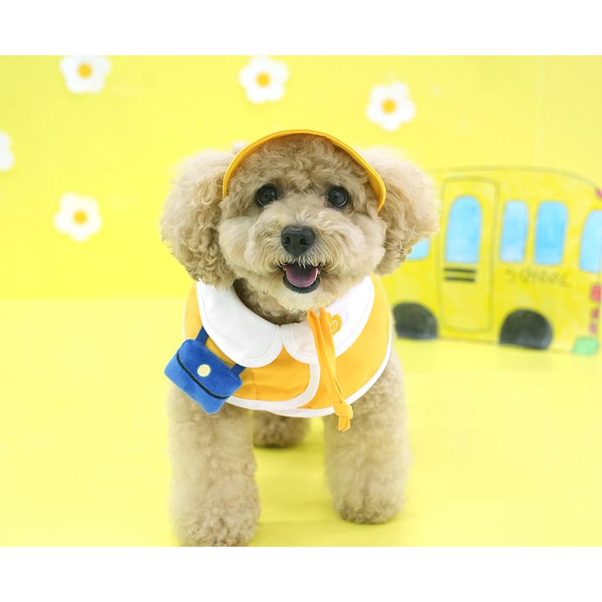 kindergarden cape cap set 犬用 帽子 幼稚園 ケープ バンダナ
