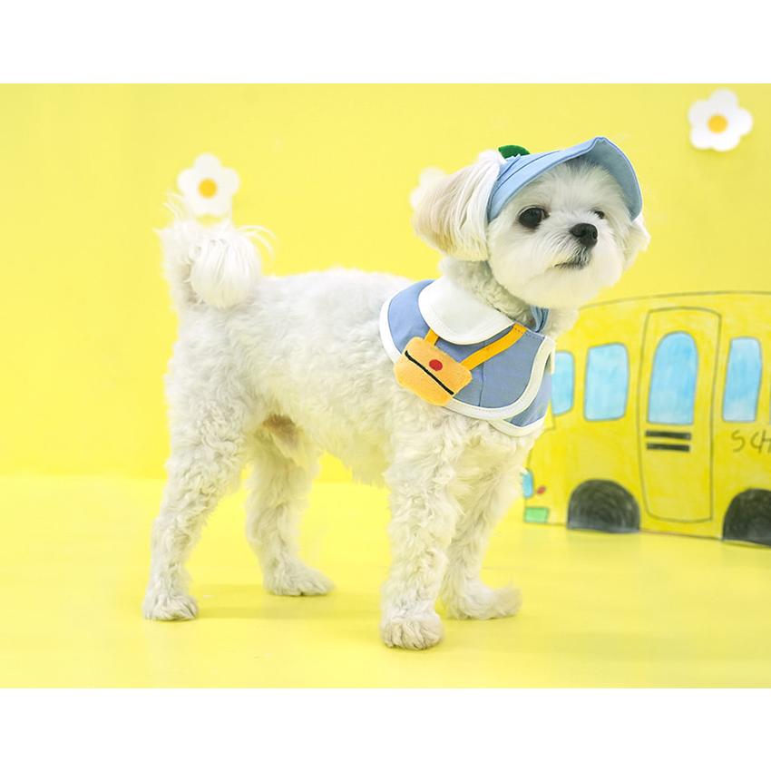 kindergarden cape cap set 犬用 帽子 幼稚園 ケープ バンダナ