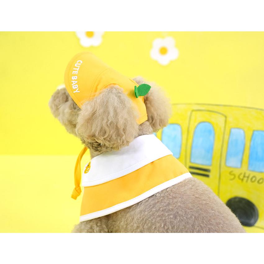 kindergarden cape cap set 犬用 帽子 幼稚園 ケープ バンダナ