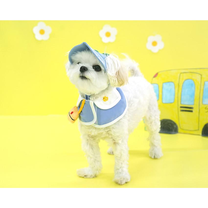 kindergarden cape cap set 犬用 帽子 幼稚園 ケープ バンダナ