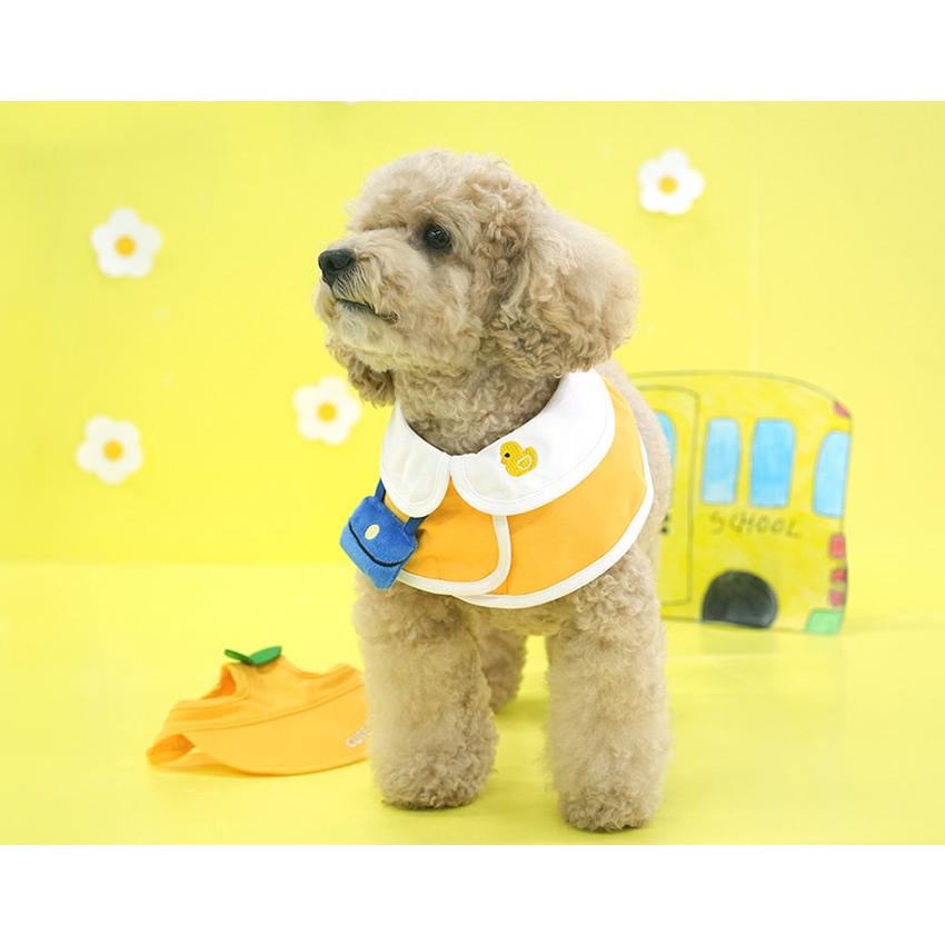 kindergarden cape cap set 犬用 帽子 幼稚園 ケープ バンダナ