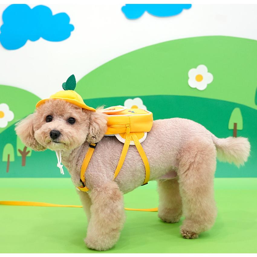kindergarden backpack harness set 犬 犬用 ハーネス バッグ 帽子