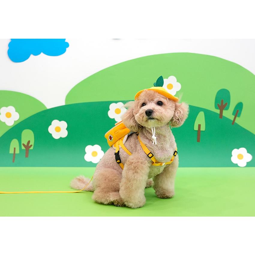 kindergarden backpack harness set 犬 犬用 ハーネス バッグ 帽子