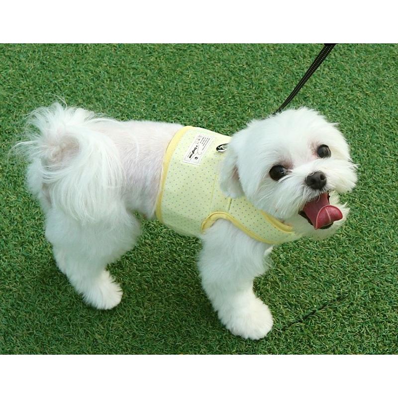 【メール便可】 犬服 犬用 ハーネス チャイルド 犬 ハーネス 小型犬 中型犬 軽量 軽い 安全 シンプル パステル 可愛いハーネス 猫 ペット用品 お出かけ｜nari-pet｜05