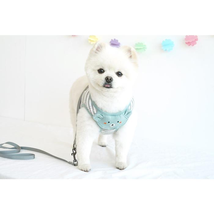 メール便可】 クマちゃん ハーネスリードセット ペット用品 小型犬