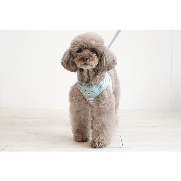 メール便可】 クマちゃん ハーネスリードセット ペット用品 小型犬
