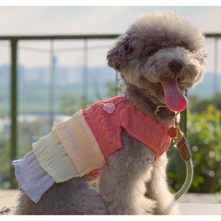 超特価sale開催】 犬服( ^ω^ )涼しく可愛く♡チェックのワンピ 犬