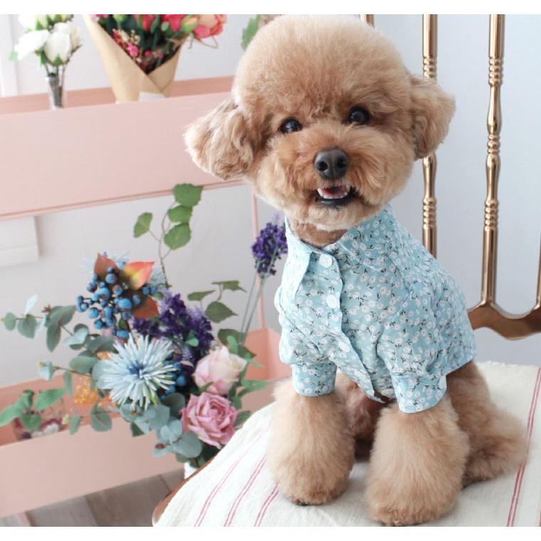犬服 S わんこの普段着大きな花