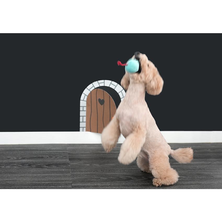 soft cheeze multi toy 韓国 ノーズワーク ペット 犬用 おもちゃ