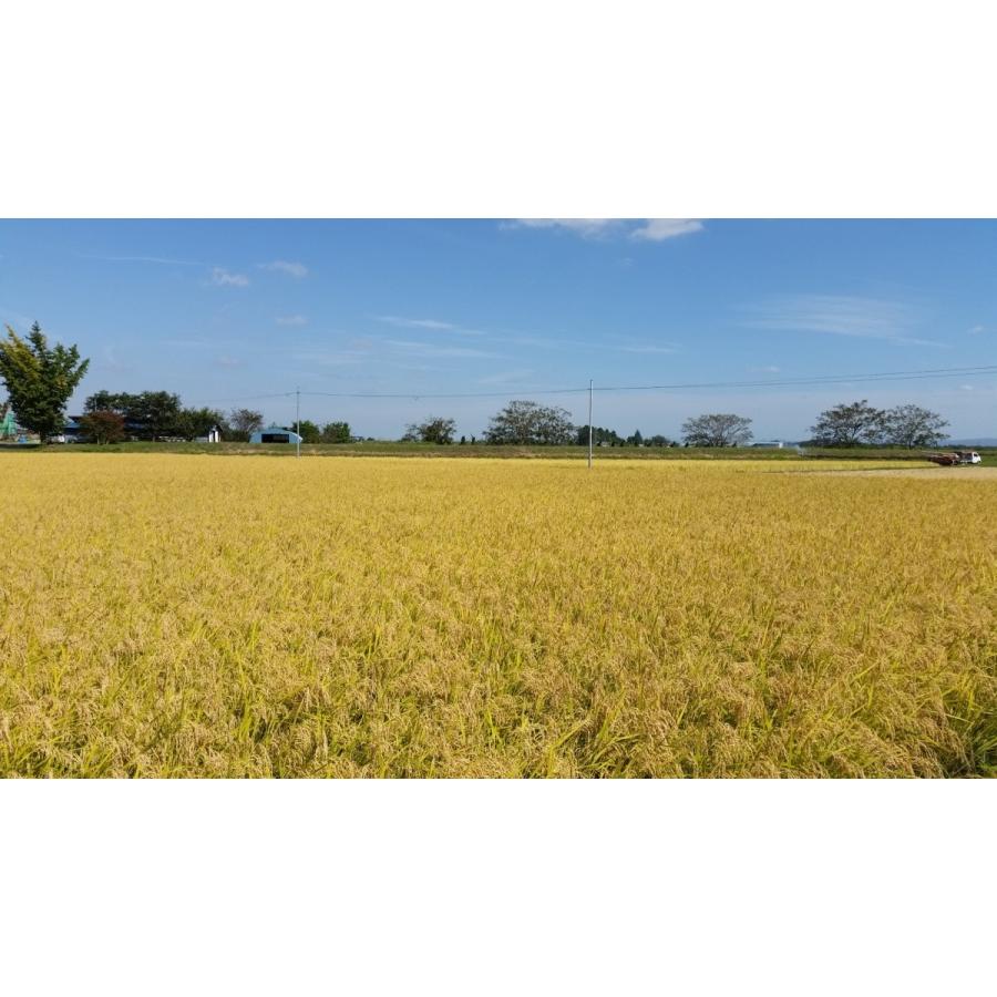 ノンカフェイン玄米珈琲（玄米コーヒー）ティーバッグ（８ｇ×７包入）宮城県登米市産黒焼き玄米100％ |  | 03