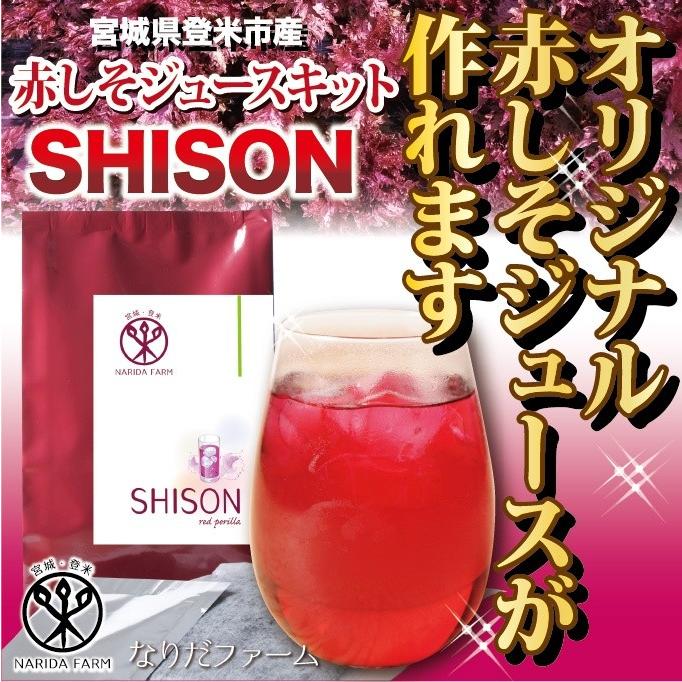SHISON赤しそジュースキット（500ml原液用）宮城県登米市産 | 