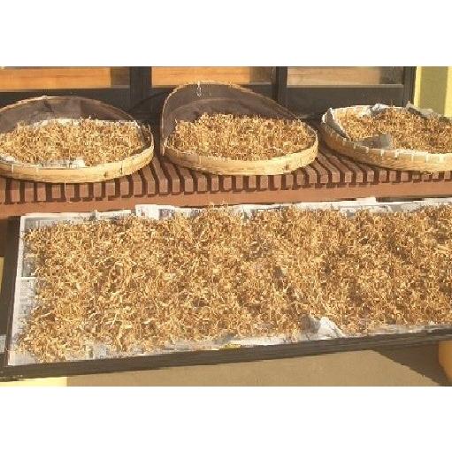 香(かおり)ごぼう茶ティーバッグ（1.6g×8包入）宮城県登米市産寒ざらしごぼう |  | 03