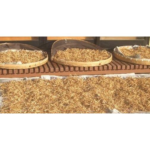 香(かおり）ごぼう茶　急須用ティーバッグ（3g×18包）　宮城県産寒天日干しごぼう　お徳用サイズ |  | 05