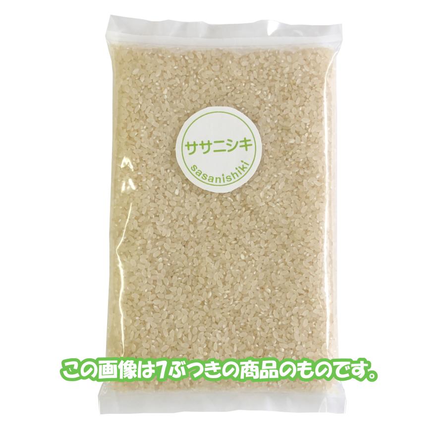 ササニシキ玄米 令和6年秋田県産