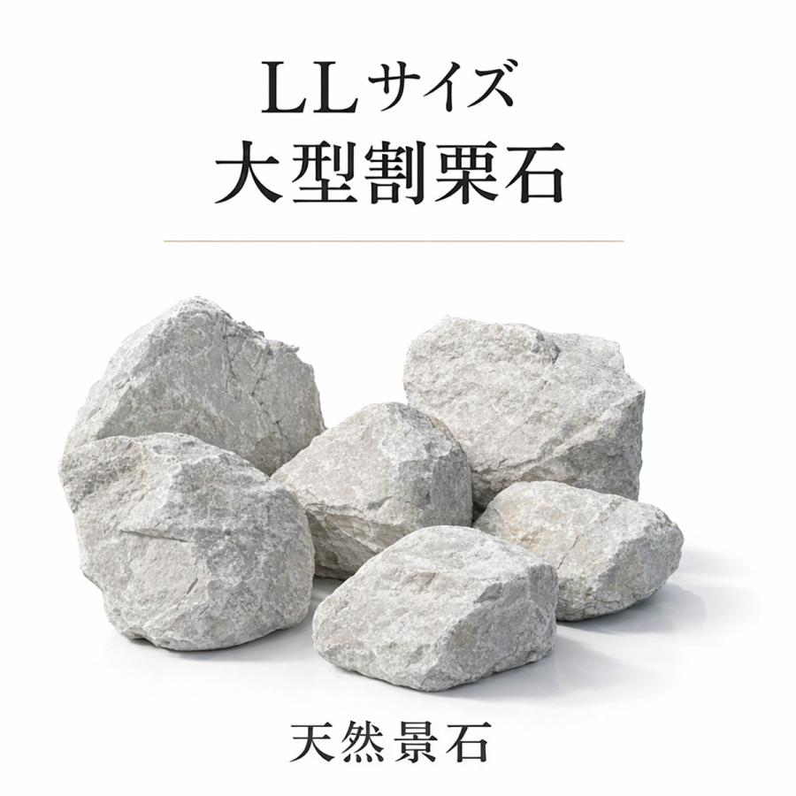 割栗石 LL 1個 庭石 景石 大型石 砕石 ロックガーデン ドライガーデン