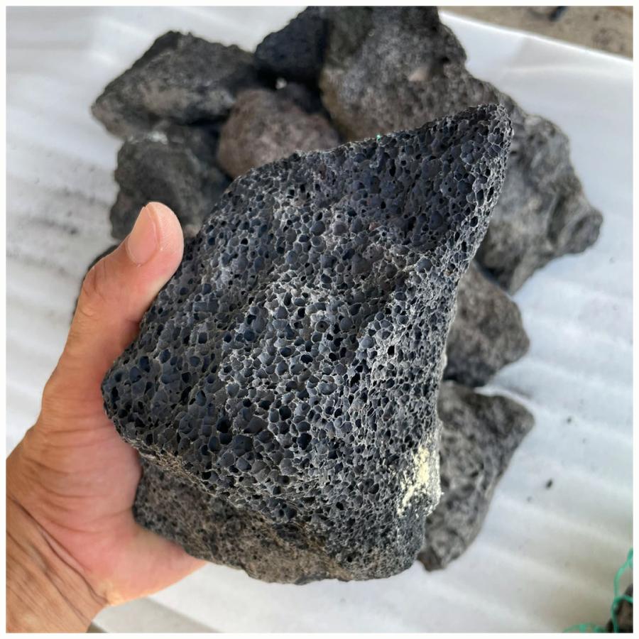 火山岩 溶岩石 ボルカブラック 10kg アクアリウム ロックガーデン 庭石