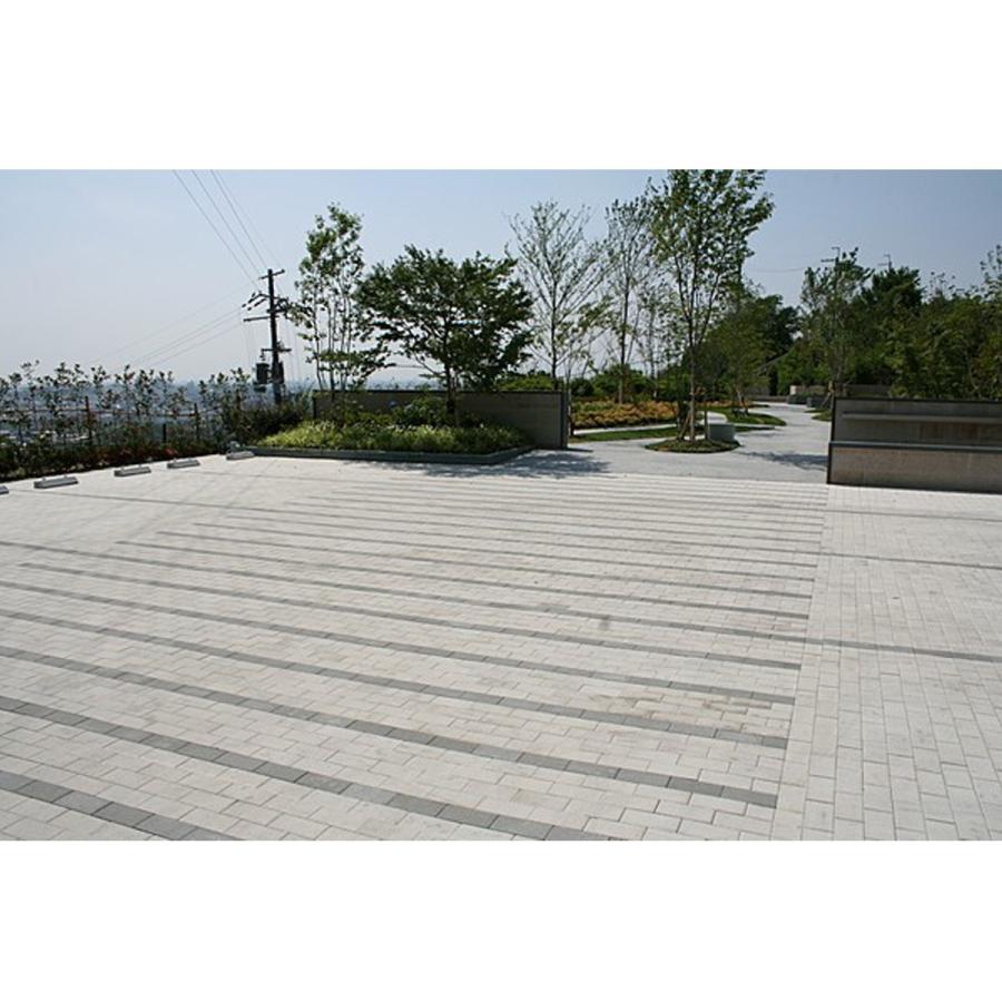 50個セット ハイブリック6 (200×100×60mm) インターロッキング 50個セット ハイブリック6 (200×100×60mm) インターロッキング
