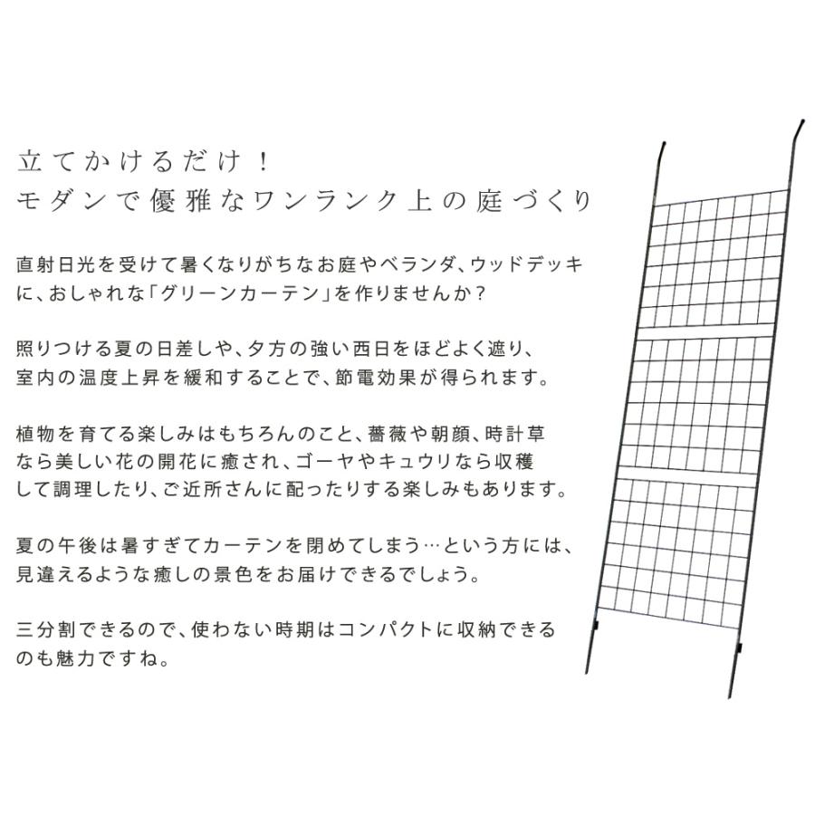 おしゃれなグリ−ンカーテン アイアン製グリーンカーテン グラフ