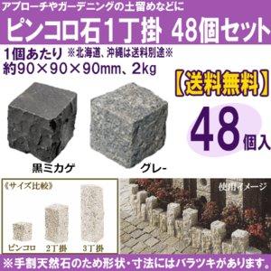ピンコロ石 1丁 黒(バサルト)グレー 48個セット 庭 敷石 石畳 ピンコロ石 1丁 黒(バサルト)グレー 48個セット 庭 敷石 石畳