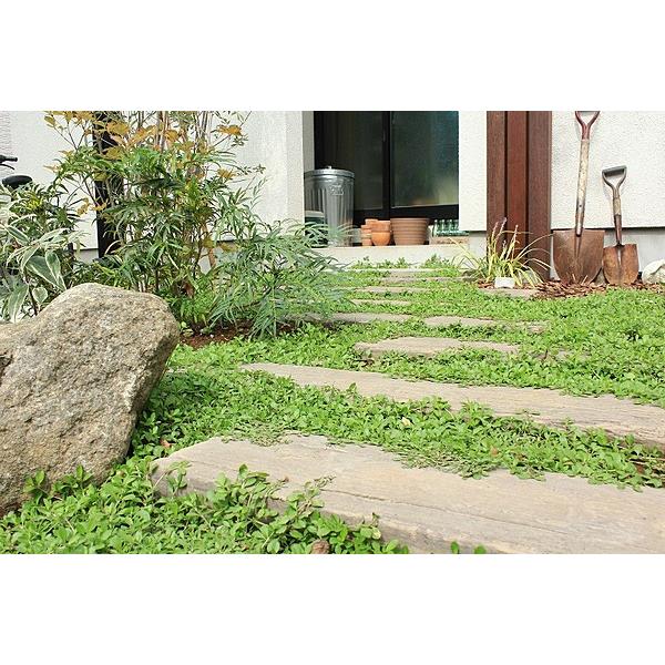 レイルスリーパーペイブ 600L（長60×幅20×厚6cm） 1枚 コンクリート