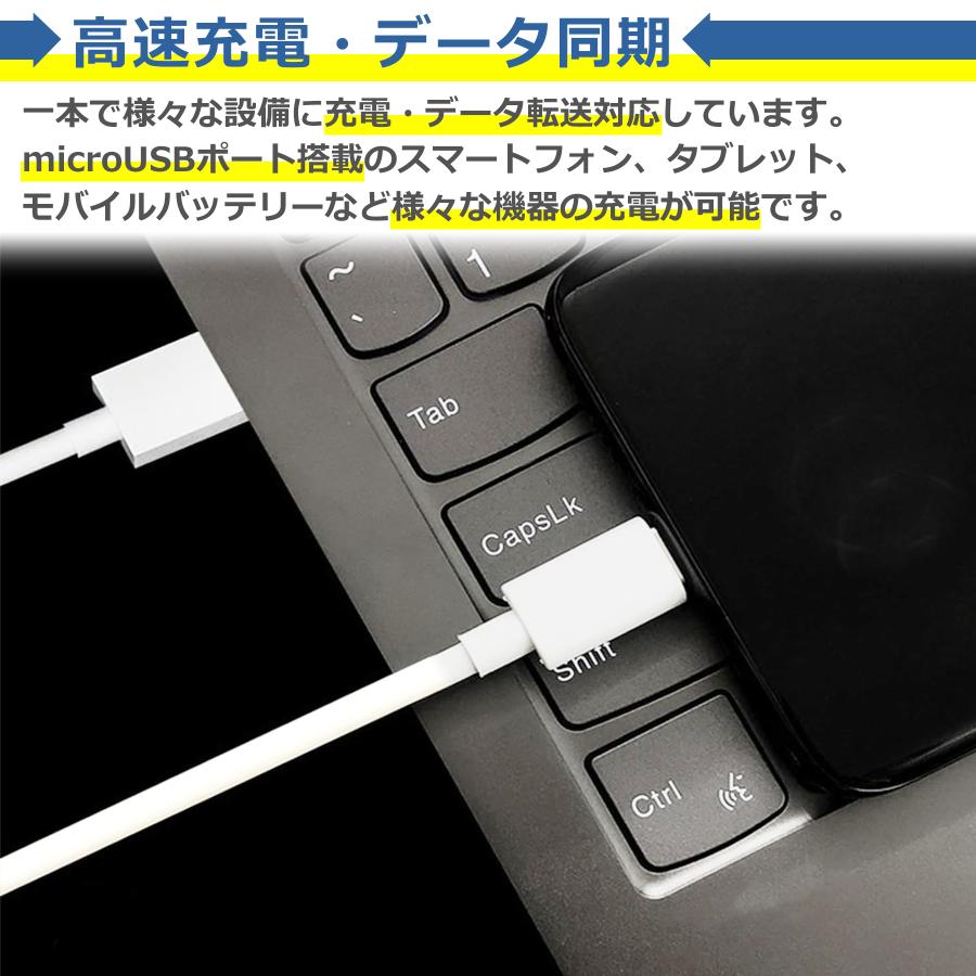 micro USB ケーブル 25cm 2口 充電器 セット 電源 アダプタ タイプB