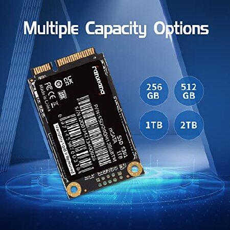 fanxiang S301 256GB mSATA SSD Mini SATA III 6Gb/s 内蔵ソリッド