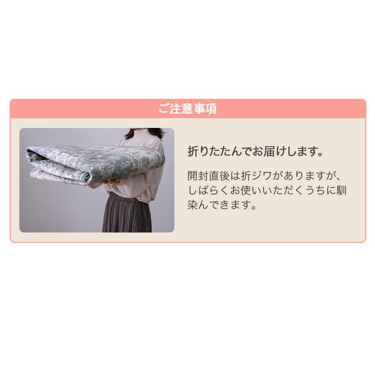 アンティーク絨毯風プリントラグ 190×190cm 厚み8mm 転写プリント 高級絨毯柄 滑り止め付き ホットカ−ペット 床暖房対応 洗える ラグ カーペット CAMEO カメオ_22