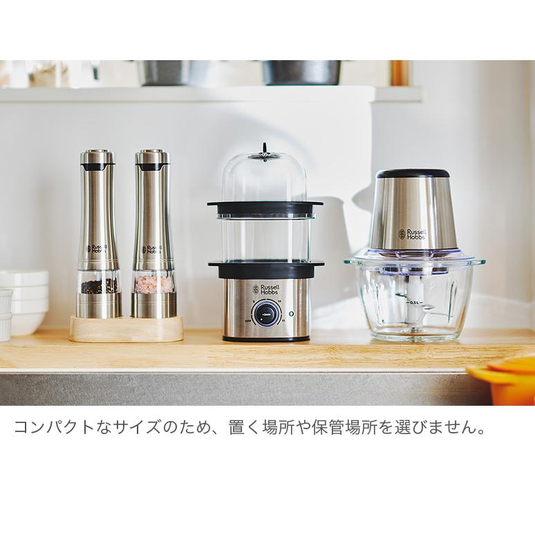 RUSSELL HOBBS（ラッセルホブス） コンパクト 電気蒸し器 クイックミニ