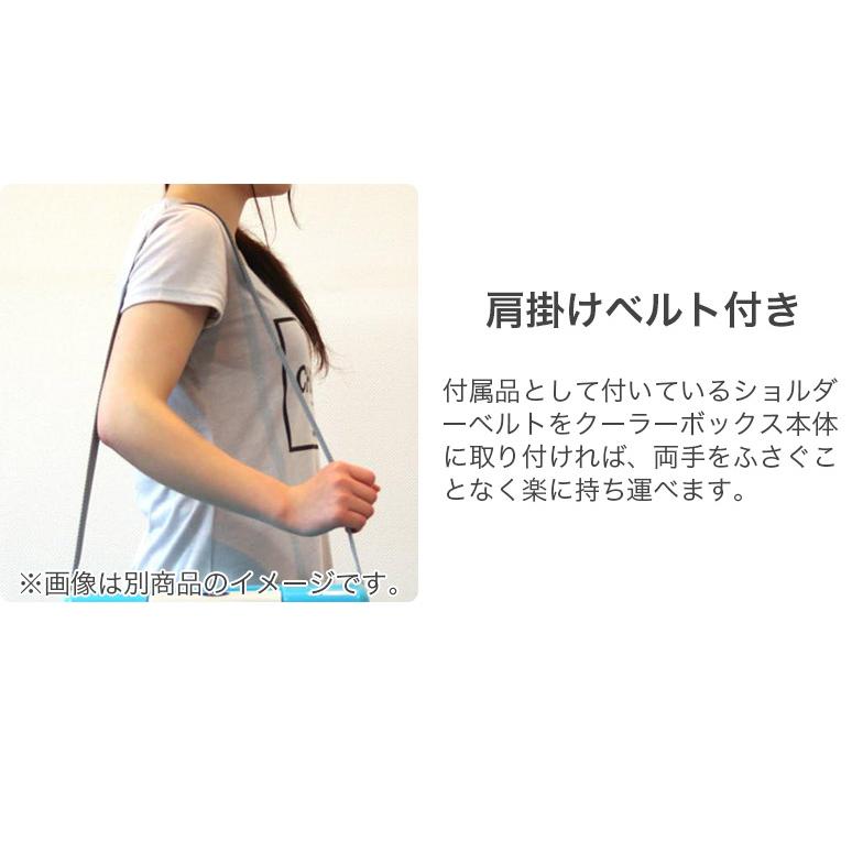 SANKA クーラーボックス 7.6L 収納目安 500ml ペットボトル6本 ワン