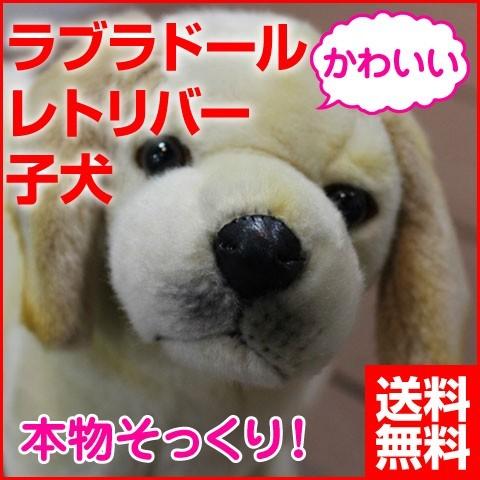 犬 ぬいぐるみ ラブラドールレトリバー子犬 いぬ イヌ リアル 本物