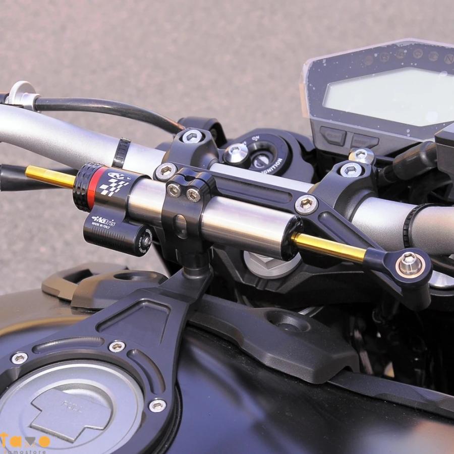 並行輸入品 BMW 汎用カーボン自転車ダンパーステアリングフォーカス