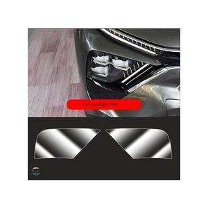 並行輸入品 C5X シトロエン リップ ヘッドライト アクセサリー 外装