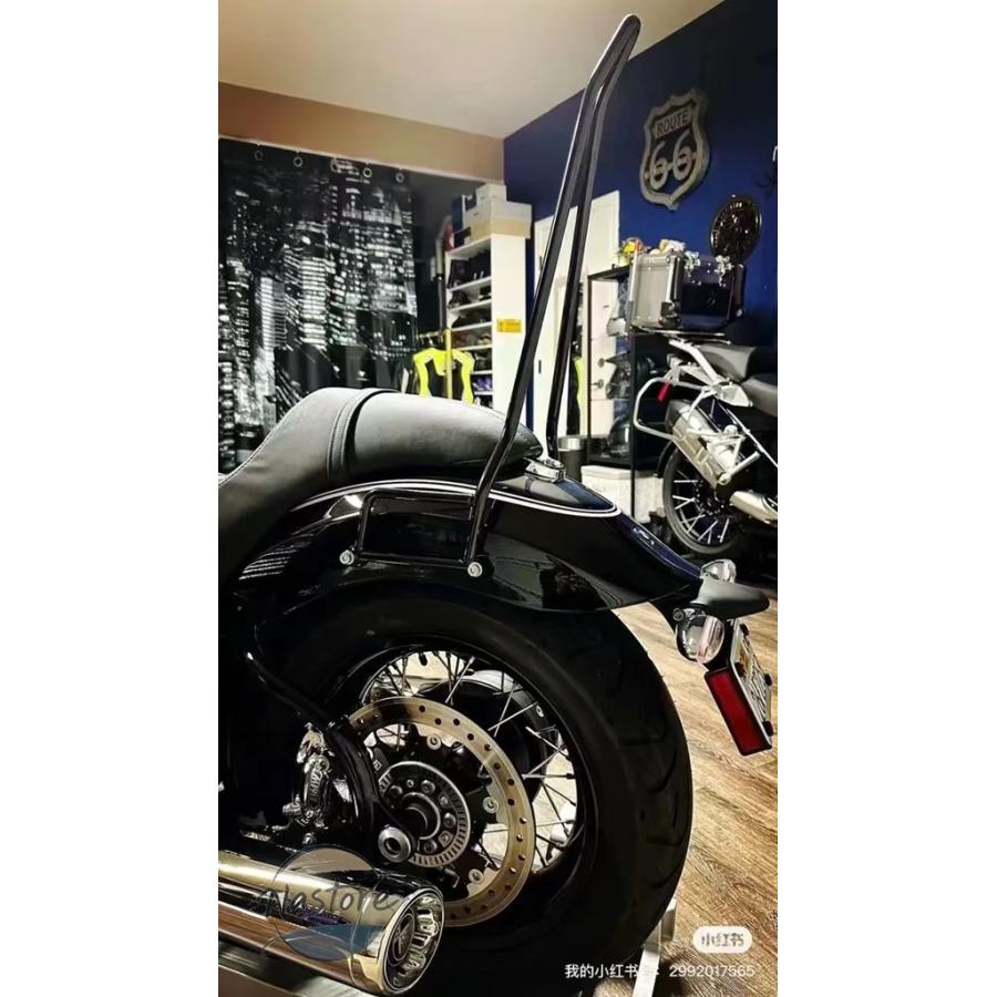 並行輸入品 BMW バイク 部品 カスタムパーツ アクセサリー 助手席 r18 60cm 一体型直立の画像