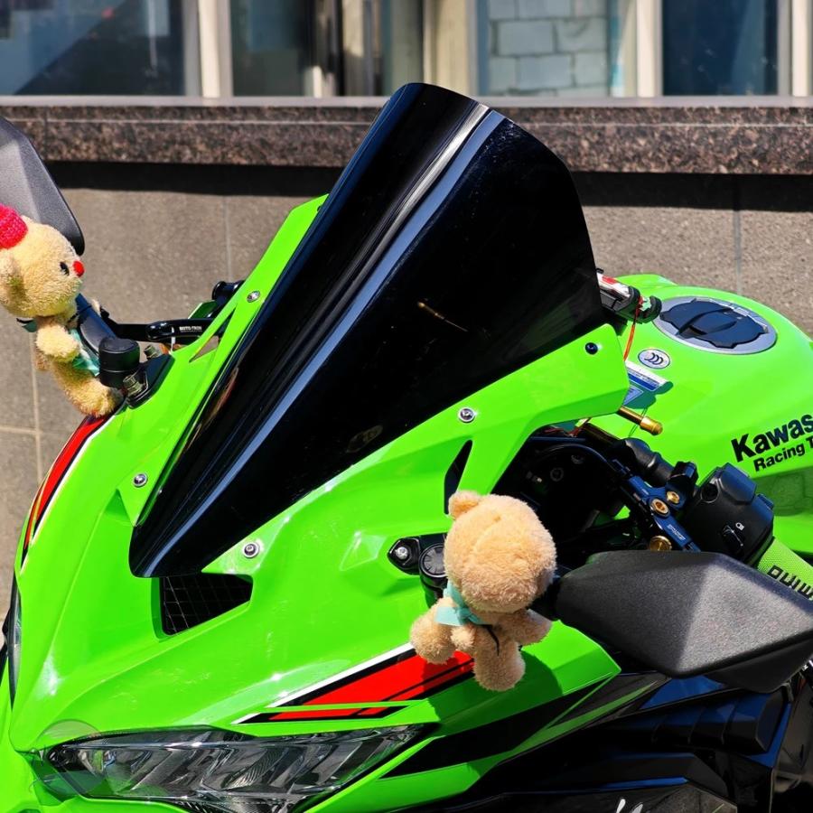 並行輸入品 zx4r カワサキ スクリーン zx25r r フロントガラス