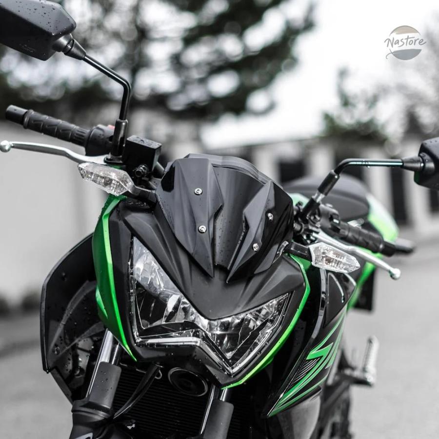 並行輸入品 カワサキ Z300 Z250 2013 2014 2015 2016 2017 Z 300 250