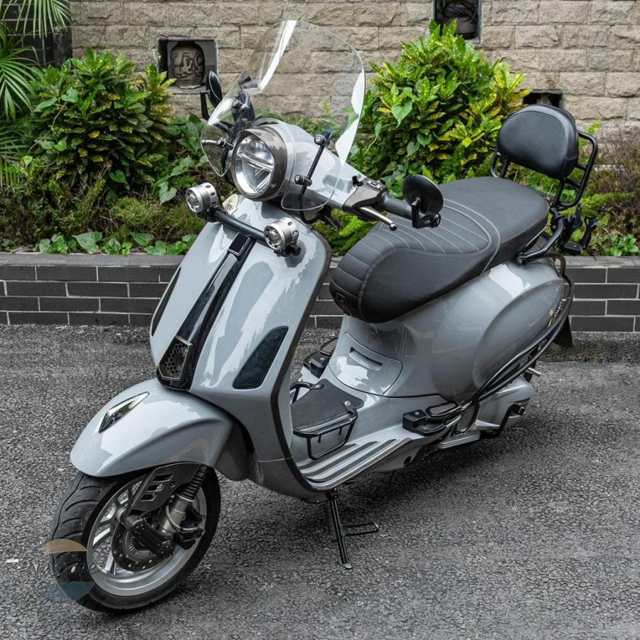 アール 並行輸入品 lx50 バイク ピアッジオ ベスパ lx125 lx150 gt200 gts250