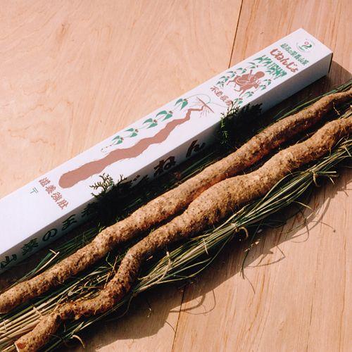 山菜の王者【自然薯(山芋)：大サイズ】 : 那須自然農園 - 通販 - Yahoo