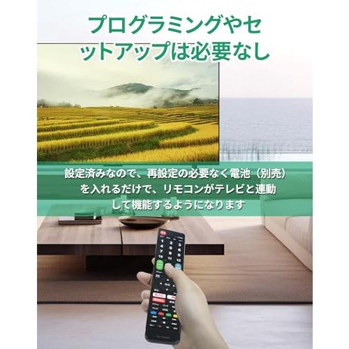 LG テレビリモコン エルジー テレビ リモコン 設定済み ネット動画