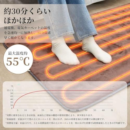 電気カーペット 1畳 180×80cm ダニ退治機能 タイマー機能付き 丸洗い可 電気カーペット 1畳 180×80cm ダニ退治機能 電気毛布 敷き シングル 6