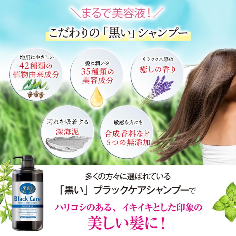 Black Care ブラックケアシャンプー 詰替えパウチ 400mL 3袋