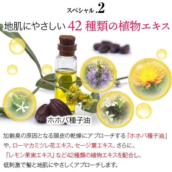 Black Care ブラックケアシャンプー 詰替えパウチ 400mL 3袋