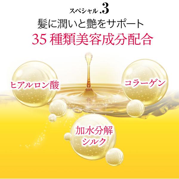 Black Care ブラックケアシャンプー 詰替えパウチ 400mL 3袋