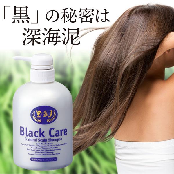 ブラックケアシャンプー　新品　二個セット Black Care ブラックケアシャンプーKD 600ml 2本セット リンス不要