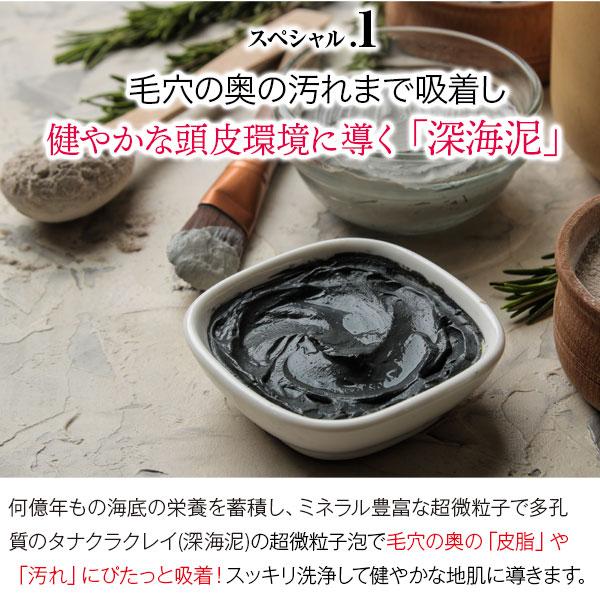 Black Care ブラックケアシャンプー 詰替えパウチ 400mL 6袋セット