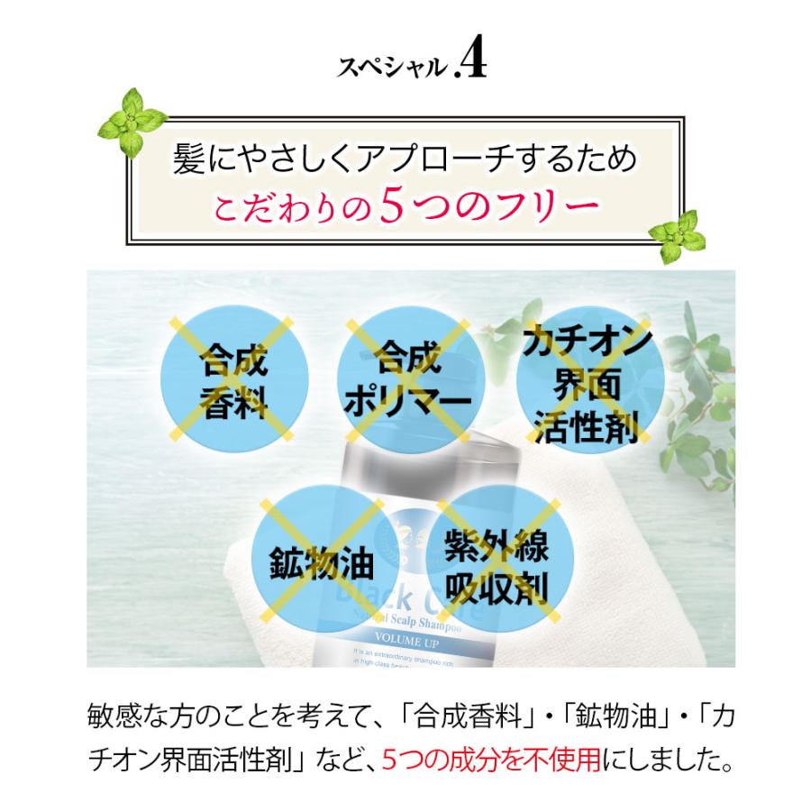 Black Care ブラックケアシャンプー 詰替えパウチ 400mL 6袋セット