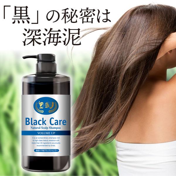 ブラックケアシャンプー 600ｍl 2本セット ヘアケア 美容液 ※新ボトルでのお届けです(SH00003-BC-NN-0200)｜natgar｜04