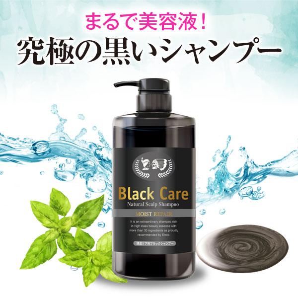 Black Care ブラックケアシャンプーKD 600ml 2本セット リンス Black Care ブラックケアシャンプーKD 600ml 2本セット リンス