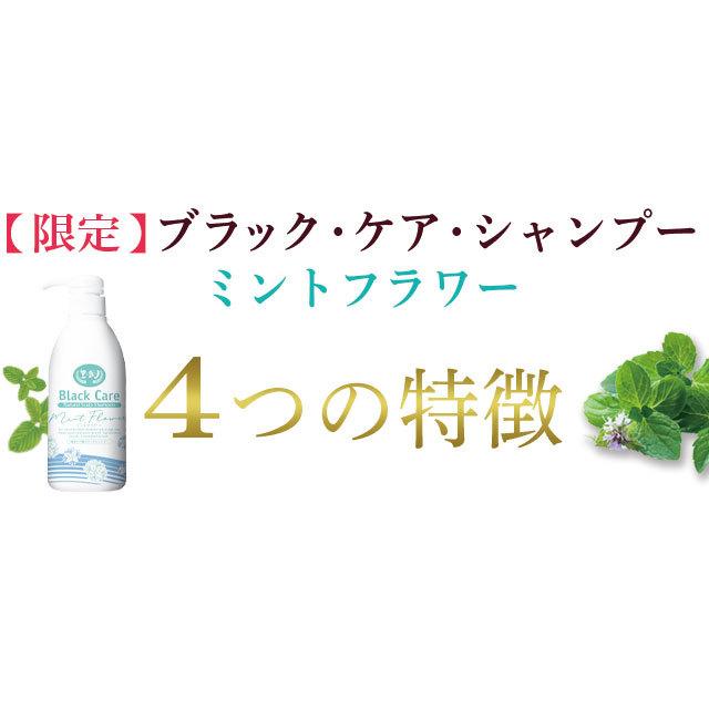 限定入荷 ブラックケアシャンプー ミントフラワー 500ml 1本 ブラックシャンプー ブラック・ケア (SH00017-BC-NN-0103) :blcamf-01:ナチュラルガーデンYahoo!店 - 通販 - Yahoo!ショッピング 限定入荷 ブラックケアシャンプー ミントフラワー 500ml 1本 ブラックシャンプー ブラック・ケア (SH00017-BC-NN-0103) :blcamf-01:ナチュラルガーデンYahoo!店 - 通販 - Yahoo!ショッピング